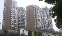 绿洲小区爆料最新消息视频,视频揭露惊人真相！