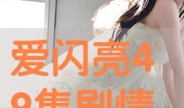 49在线观看,揭秘热门剧集背后的精彩故事